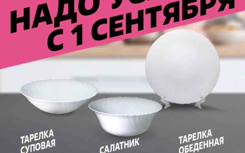 чижик акции