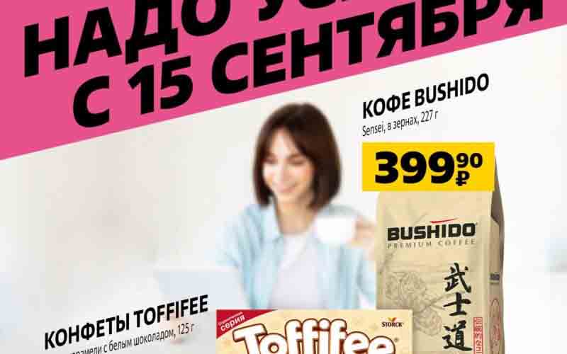 чижик акции