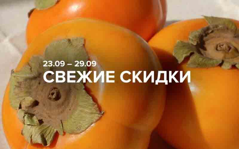 зельгрос акции