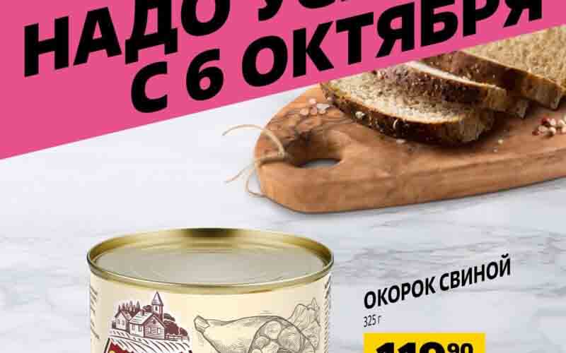 чижик акции