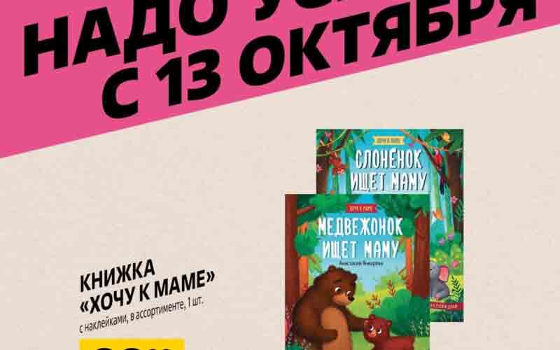 чижик акции