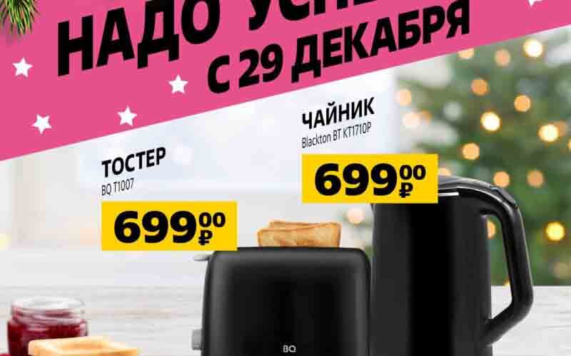 чижик акции