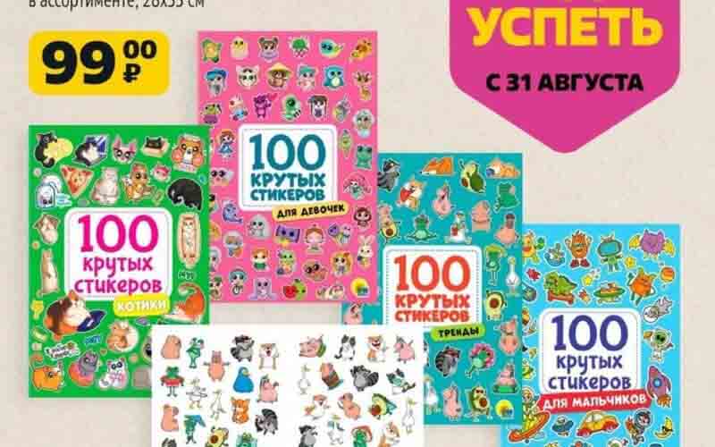 чижик акции с 31 августа