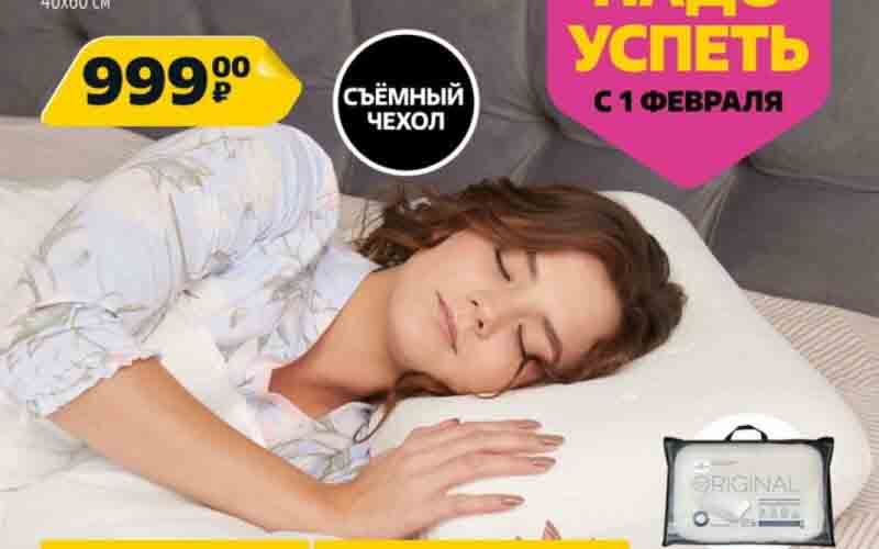 чижик акции февраль 2024