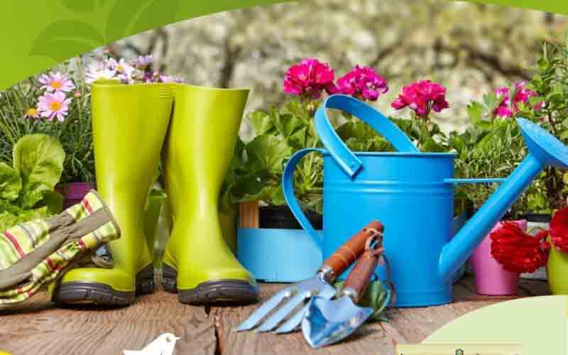 ашан акции март 2024