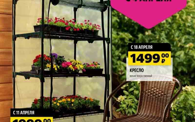 чижик акции апрель