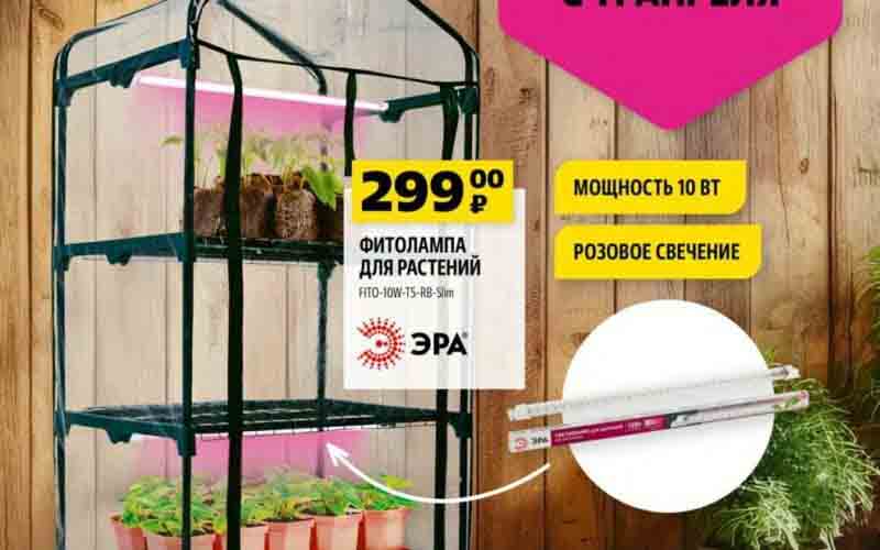 чижик акции с 11 апреля