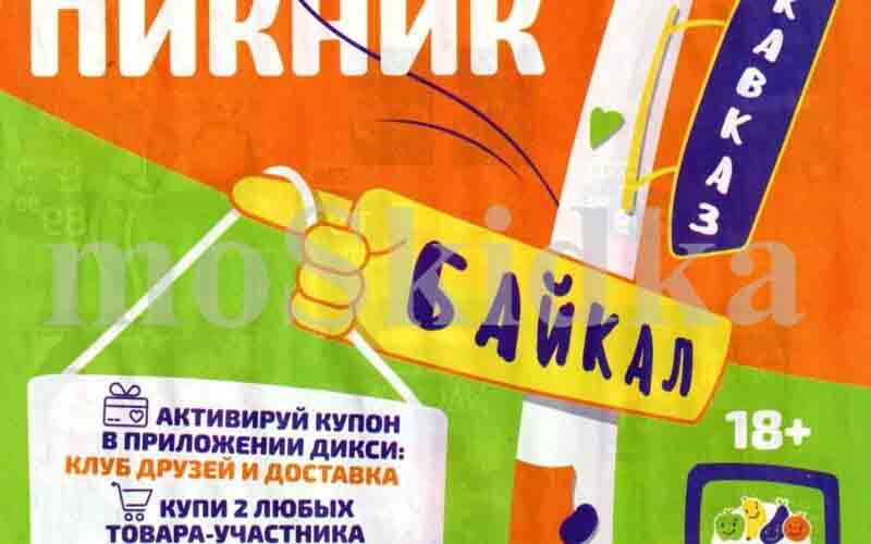 улетный пикник в дикси 2024