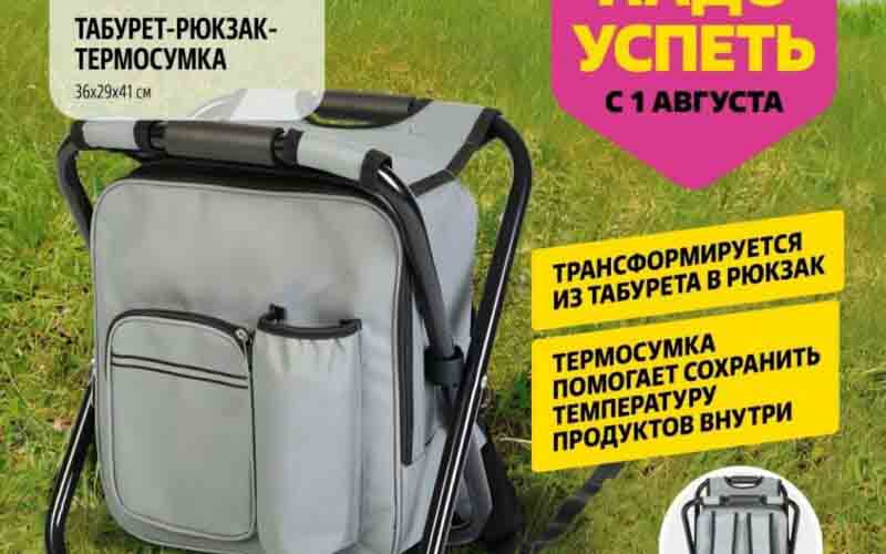 чижик акции с 1 августа 2024