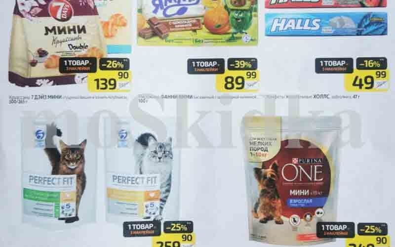 дикси зоомоны сентябрь 2024