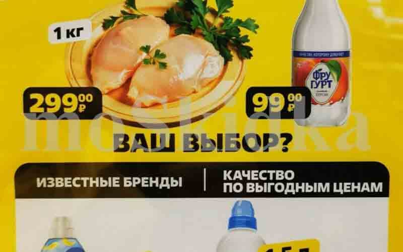 чижик шок цена с 7 октября 2024