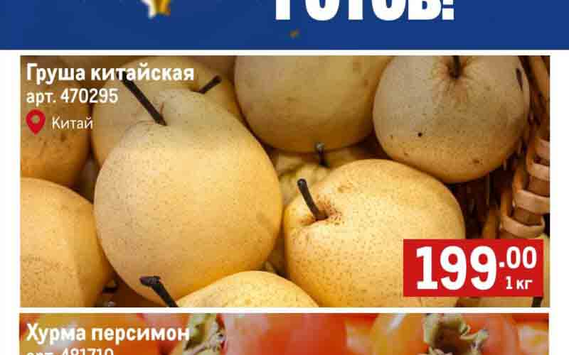 метро акции с 12 декабря 2024