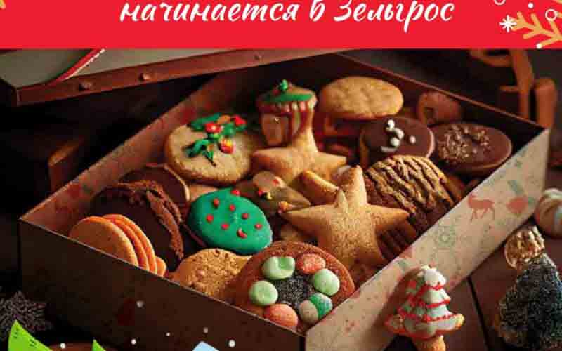 зельгрос акции новогодние с 4 декабря 2024