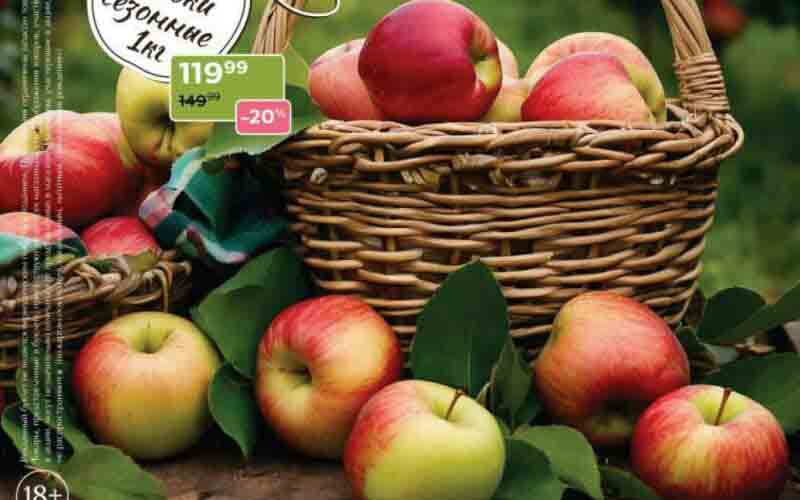 магнолия акции с 4 марта 2025