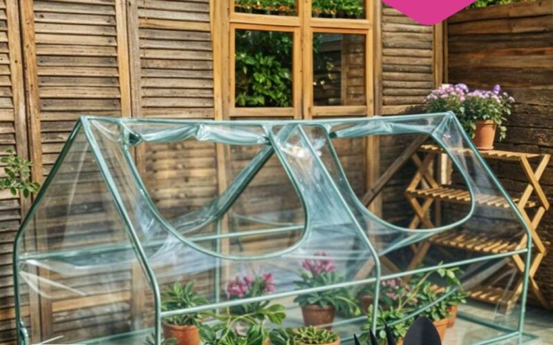 чижик акции с 10 апреля 2025