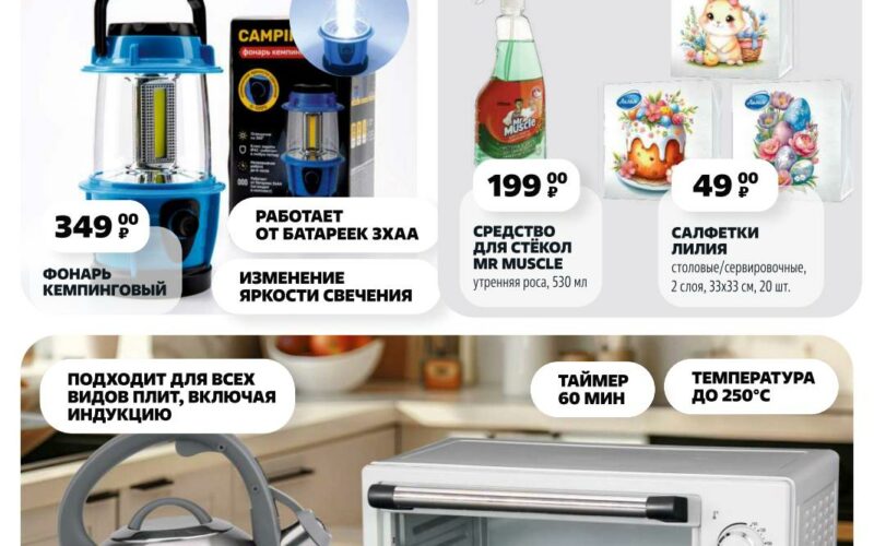 Чижик акции с 10 апреля 2025 - обзор каталога на моСкидка.ру