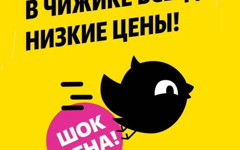 чижик акция шок цена с 8 мая 2025
