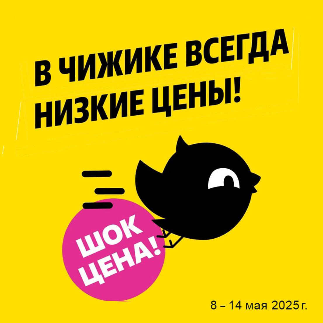 чижик акция шок цена с 8 мая 2025