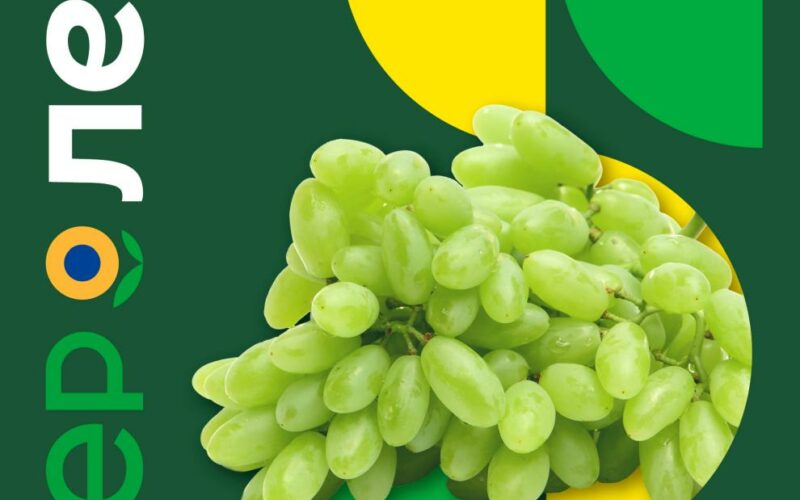 лента акции с 21 августа 2025