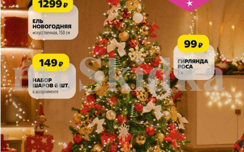 чижик акции с 27 ноября 2025