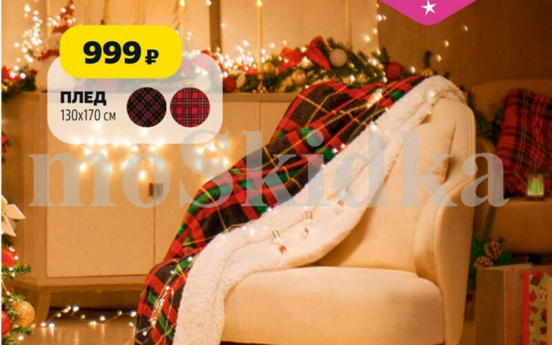 чижик акции с 4 декабря 2025