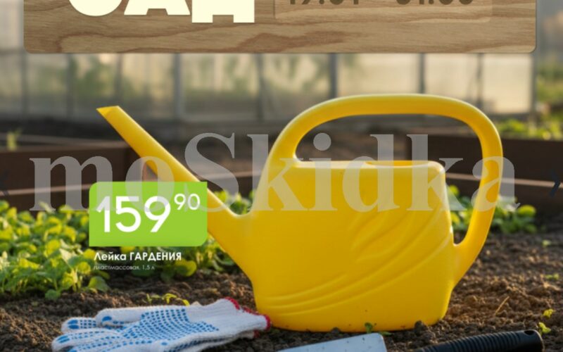 авоська акции весенний сад с 19 января 2026