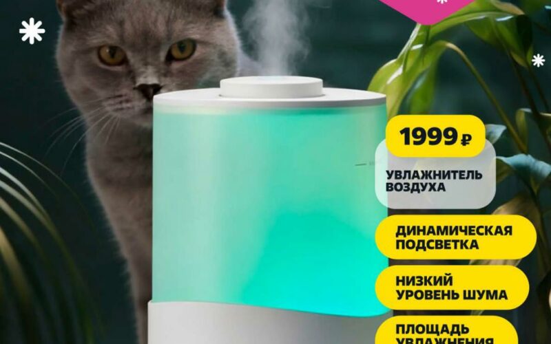 чижик акции с 15 января 2026