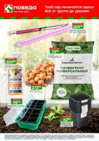 победа акции с 2 февраля 2026