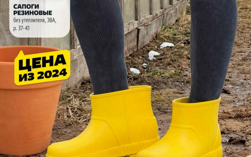 Новинки каталога чижик с 26 марта от Москидка