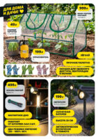 чижик акции с 16 апреля 2026