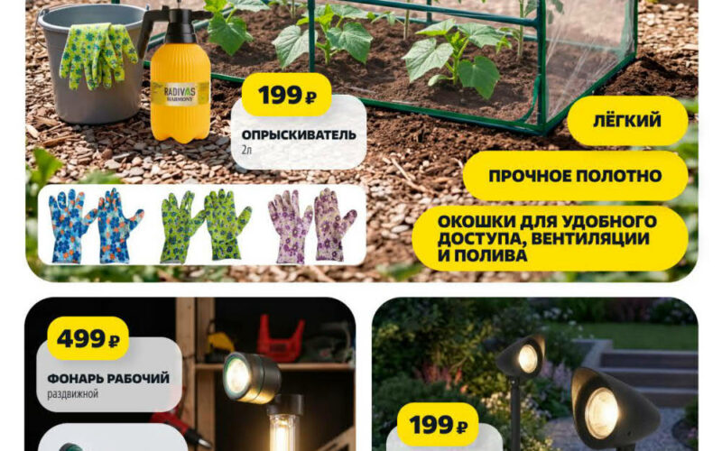 чижик акции с 16 апреля 2026