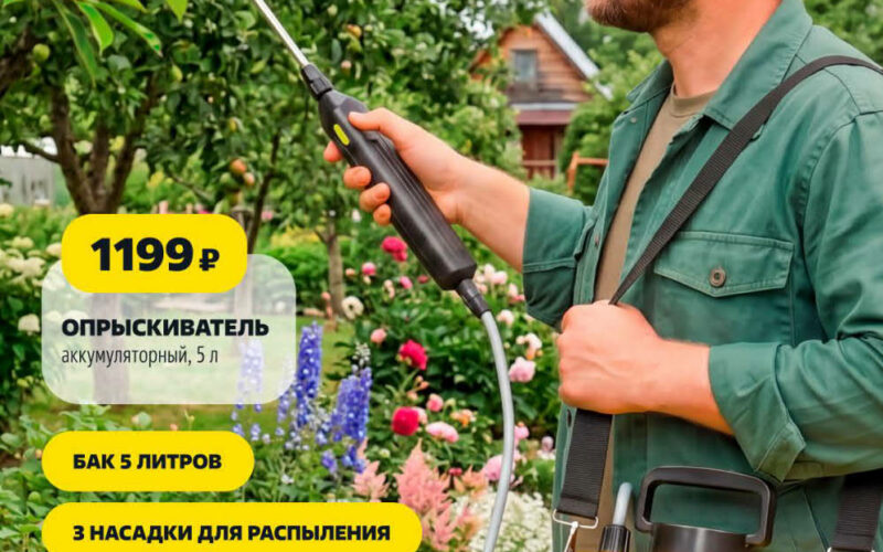 Чижик акции с 14 мая 2026