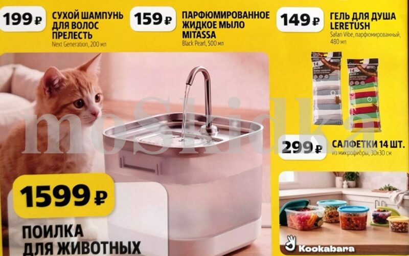 чижик акции до 21 октября 2026