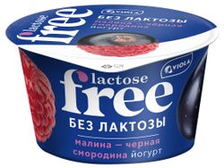 Йогурт густой ложковый Viola Lactose Free малина черная смородина безлактозный 2,7%, 180 г
