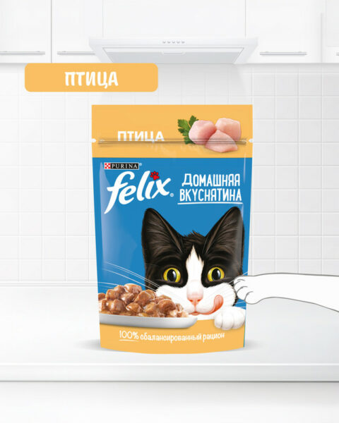Влажный корм для взрослых кошек "Домашняя вкуснятина", FELIX, с птицей, 75 г