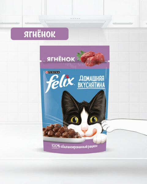 Влажный корм для взрослых кошек "Домашняя вкуснятина", FELIX, с ягнёнком, 75 г