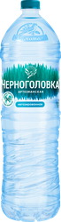 Вода питьевая ЧЕРНОГОЛОВКА артезианская негазированная