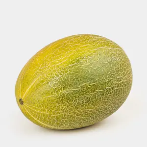 Дыня колхозница, 0,8 - 4 кг